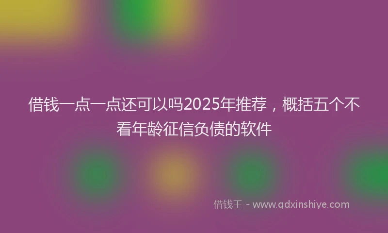 借钱一点一点还可以吗2025年推荐，概括五个不看年龄征信负债的软件