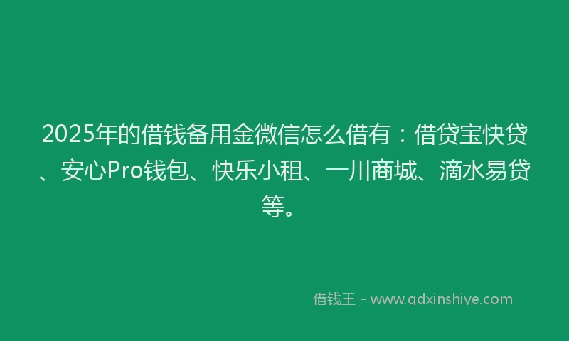 2025年的借钱备用金微信怎么借有：借贷宝快贷、安心Pro钱包、快乐小租、一川商城、滴水易贷等。