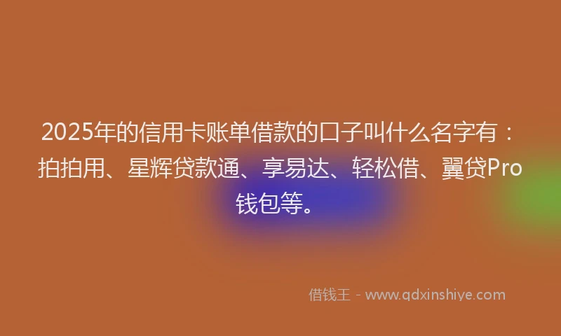 2025年的信用卡账单借款的口子叫什么名字有：拍拍用、星辉贷款通、享易达、轻松借、翼贷Pro钱包等。