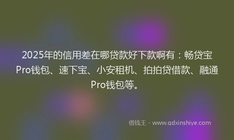 2025年的信用差在哪贷款好下款啊有：畅贷宝Pro钱包、速下宝、小安租机、拍拍贷借款、融通Pro钱包等。