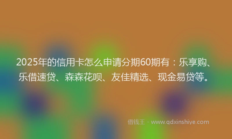 2025年的信用卡怎么申请分期60期有：乐享购、乐借速贷、森森花呗、友佳精选、现金易贷等。