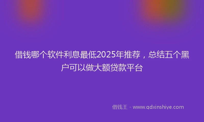 借钱哪个软件利息最低2025年推荐，总结五个黑户可以做大额贷款平台