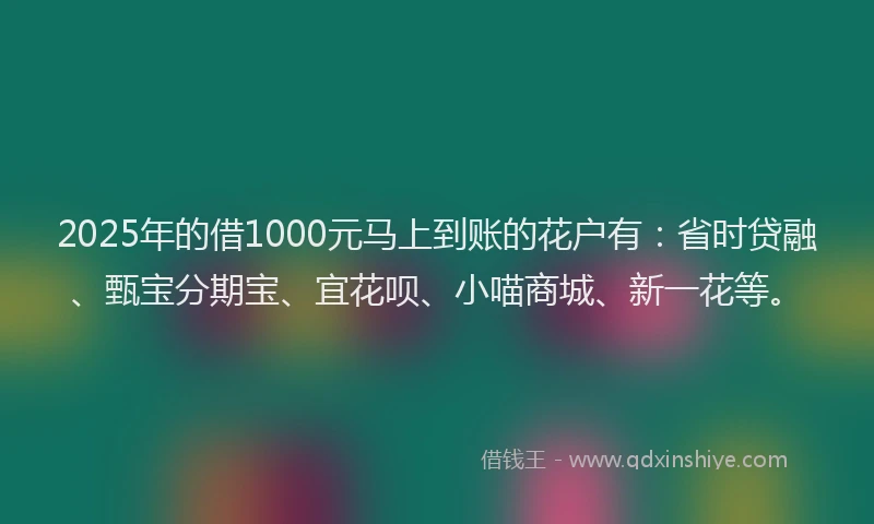 2025年的借1000元马上到账的花户有：省时贷融、甄宝分期宝、宜花呗、小喵商城、新一花等。