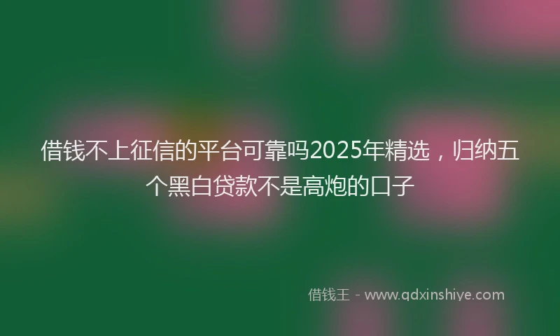 借钱不上征信的平台可靠吗2025年精选，归纳五个黑白贷款不是高炮的口子