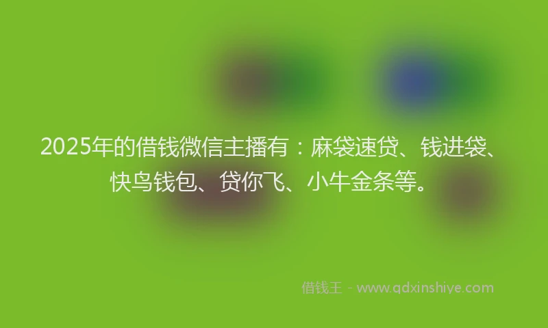 2025年的借钱微信主播有：麻袋速贷、钱进袋、快鸟钱包、贷你飞、小牛金条等。