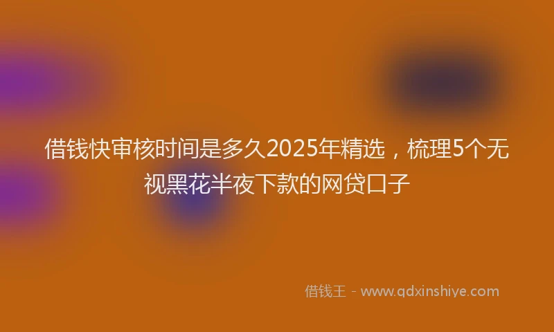 借钱快审核时间是多久2025年精选，梳理5个无视黑花半夜下款的网贷口子