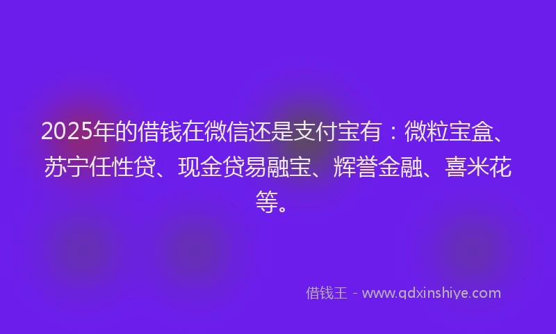 2025年的借钱在微信还是支付宝有：微粒宝盒、苏宁任性贷、现金贷易融宝、辉誉金融、喜米花等。