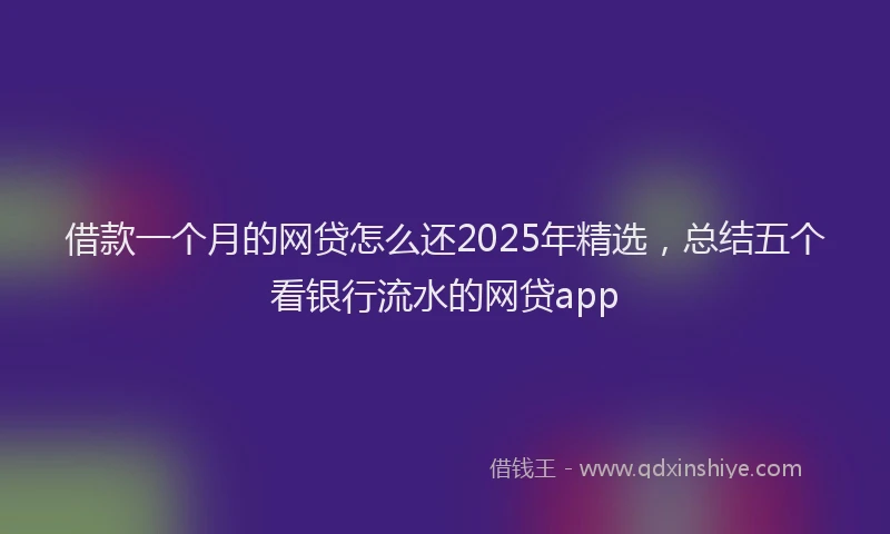 借款一个月的网贷怎么还2025年精选，总结五个看银行流水的网贷app