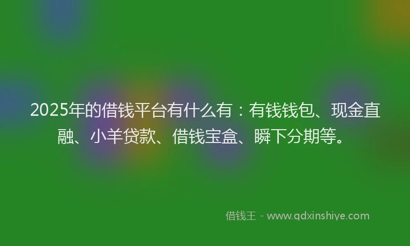 2025年的借钱平台有什么有：有钱钱包、现金直融、小羊贷款、借钱宝盒、瞬下分期等。