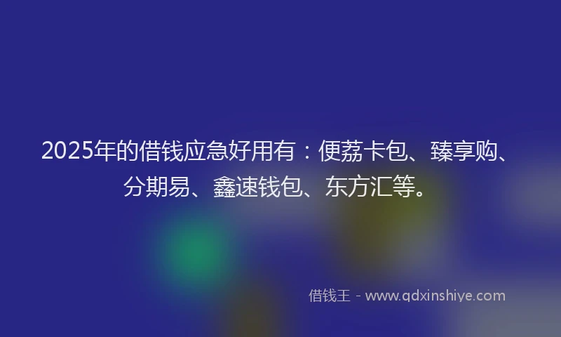 2025年的借钱应急好用有：便荔卡包、臻享购、分期易、鑫速钱包、东方汇等。