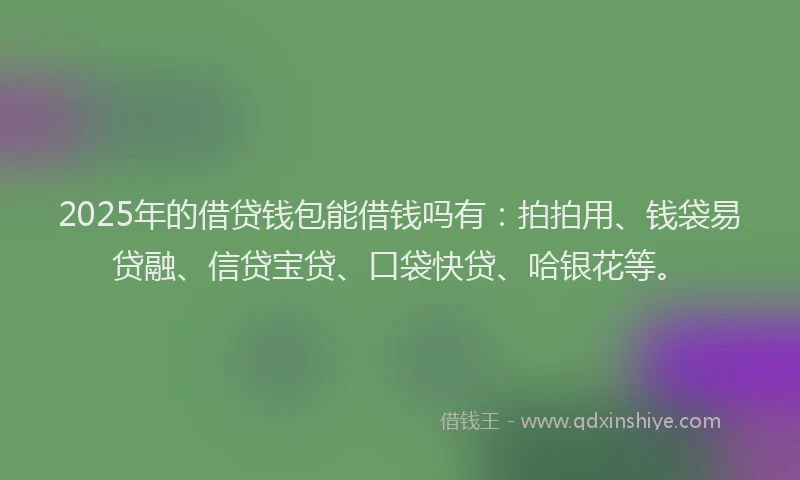 2025年的借贷钱包能借钱吗有：拍拍用、钱袋易贷融、信贷宝贷、口袋快贷、哈银花等。