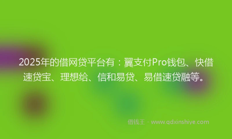 2025年的借网贷平台有：翼支付Pro钱包、快借速贷宝、理想给、信和易贷、易借速贷融等。