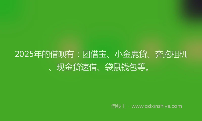 2025年的借呗有：团借宝、小金鹿贷、奔跑租机、现金贷速借、袋鼠钱包等。