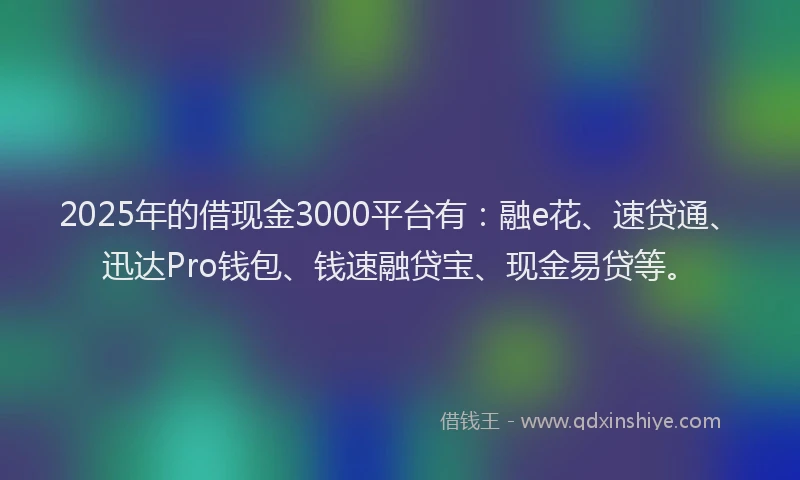 2025年的借现金3000平台有：融e花、速贷通、迅达Pro钱包、钱速融贷宝、现金易贷等。