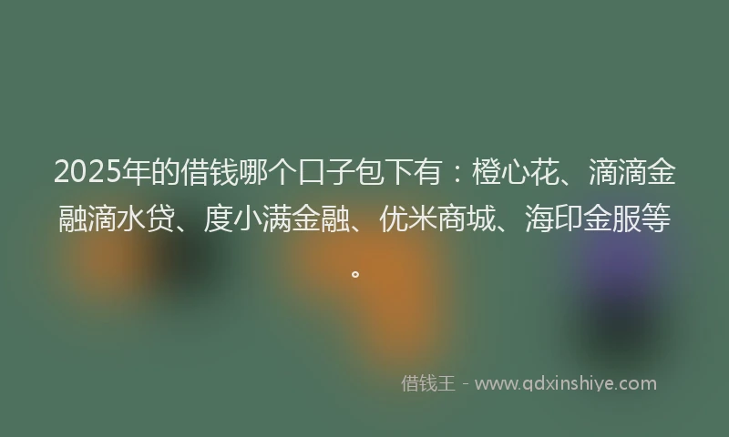 2025年的借钱哪个口子包下有：橙心花、滴滴金融滴水贷、度小满金融、优米商城、海印金服等。
