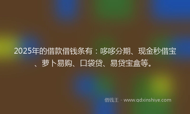 2025年的借款借钱条有：哆哆分期、现金秒借宝、萝卜易购、口袋贷、易贷宝盒等。