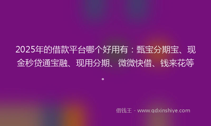 2025年的借款平台哪个好用有：甄宝分期宝、现金秒贷通宝融、现用分期、微微快借、钱来花等。