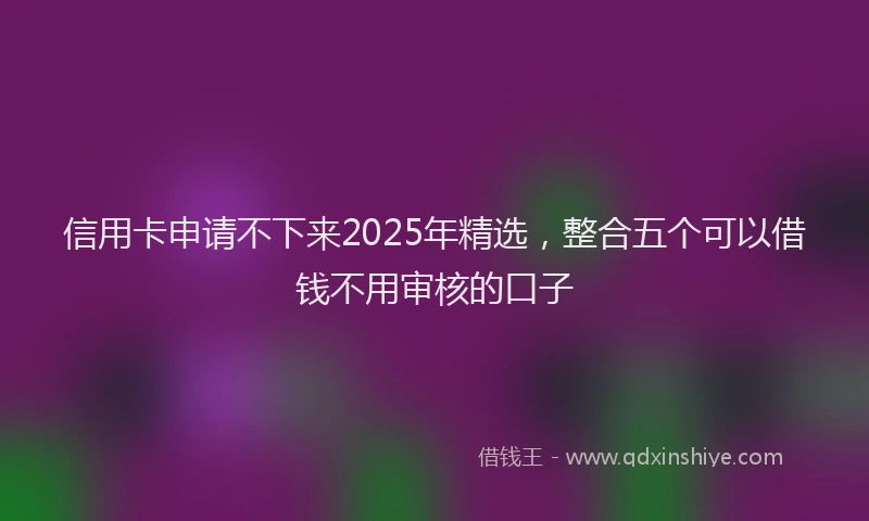 信用卡申请不下来2025年精选，整合五个可以借钱不用审核的口子