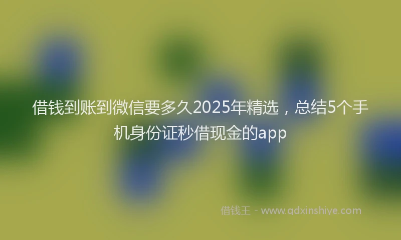 借钱到账到微信要多久2025年精选，总结5个手机身份证秒借现金的app
