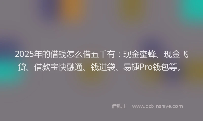 2025年的借钱怎么借五千有：现金蜜蜂、现金飞贷、借款宝快融通、钱进袋、易捷Pro钱包等。