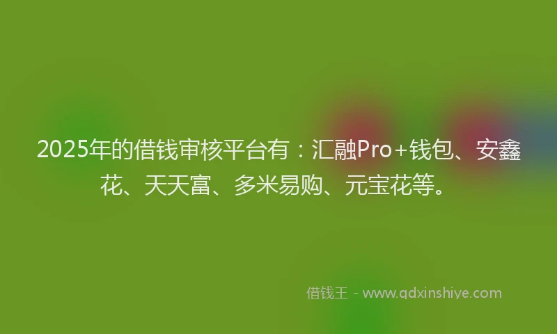 2025年的借钱审核平台有:汇融Pro+钱包、安鑫花、天天富、多米易购、元宝花等。