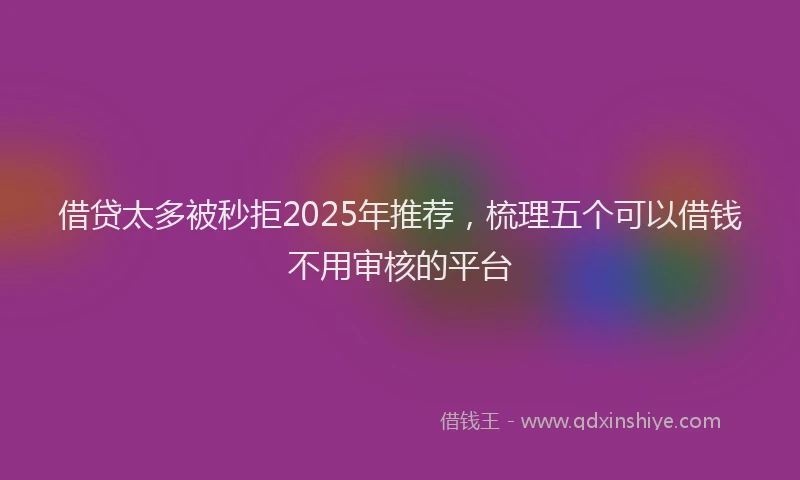借贷太多被秒拒2025年推荐，梳理五个可以借钱不用审核的平台