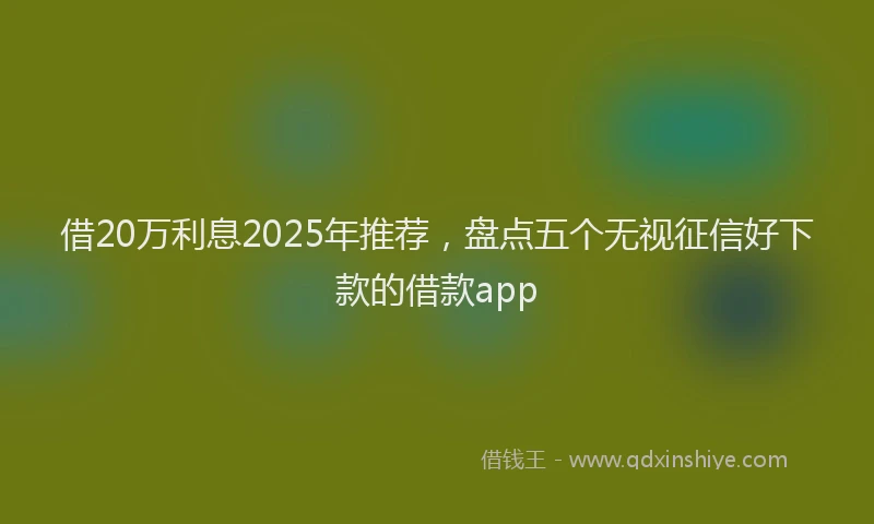 借20万利息2025年推荐，盘点五个无视征信好下款的借款app