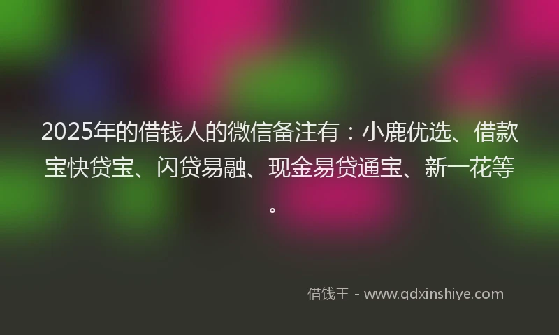 2025年的借钱人的微信备注有：小鹿优选、借款宝快贷宝、闪贷易融、现金易贷通宝、新一花等。