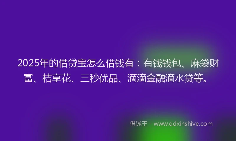 2025年的借贷宝怎么借钱有：有钱钱包、麻袋财富、桔享花、三秒优品、滴滴金融滴水贷等。