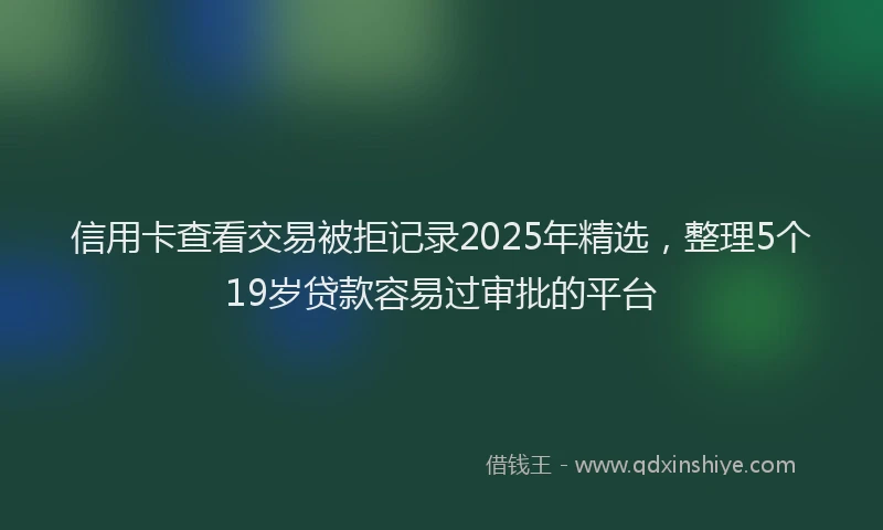 信用卡查看交易被拒记录2025年精选，整理5个19岁贷款容易过审批的平台