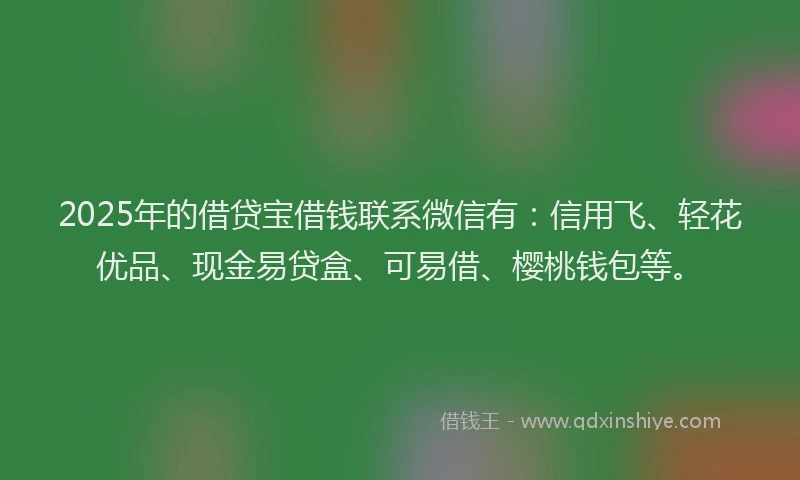 2025年的借贷宝借钱联系微信有：信用飞、轻花优品、现金易贷盒、可易借、樱桃钱包等。