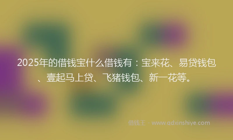 2025年的借钱宝什么借钱有：宝来花、易贷钱包、壹起马上贷、飞猪钱包、新一花等。
