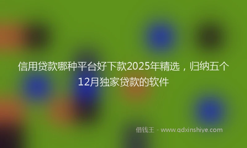 信用贷款哪种平台好下款2025年精选,归纳五个12月独家贷款的软件
