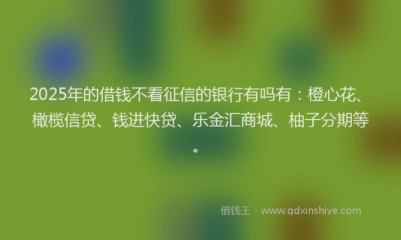 2025年的借钱不看征信的银行有吗有:橙心花、橄榄信贷、钱进快贷、乐金汇商城、柚子分期等。