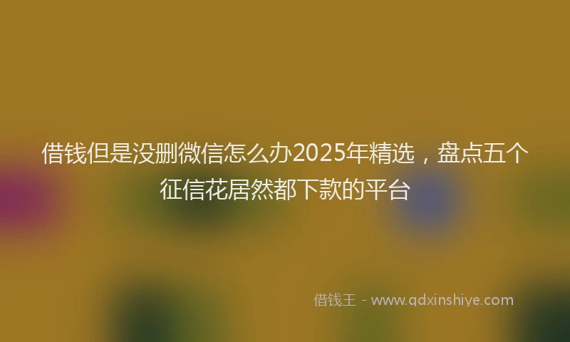 借钱但是没删微信怎么办2025年精选，盘点五个征信花居然都下款的平台