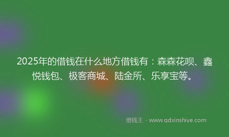 2025年的借钱在什么地方借钱有：森森花呗、鑫悦钱包、极客商城、陆金所、乐享宝等。