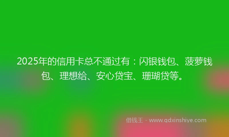 2025年的信用卡总不通过有：闪银钱包、菠萝钱包、理想给、安心贷宝、珊瑚贷等。