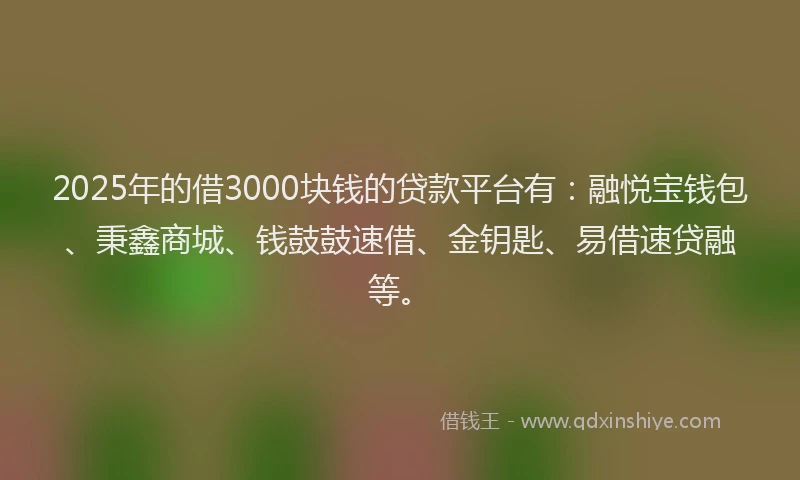 2025年的借3000块钱的贷款平台有：融悦宝钱包、秉鑫商城、钱鼓鼓速借、金钥匙、易借速贷融等。