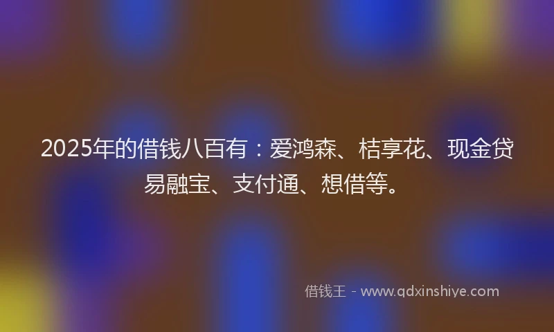 2025年的借钱八百有：爱鸿森、桔享花、现金贷易融宝、支付通、想借等。