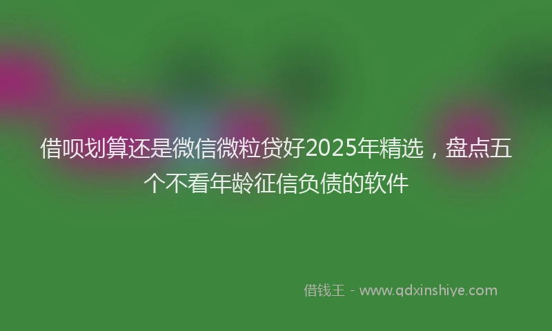 借呗划算还是微信微粒贷好2025年精选，盘点五个不看年龄征信负债的软件