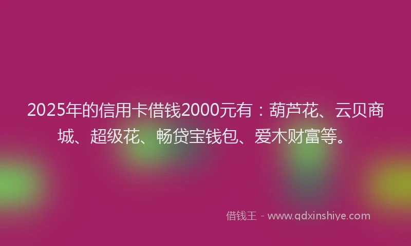2025年的信用卡借钱2000元有：葫芦花、云贝商城、超级花、畅贷宝钱包、爱木财富等。
