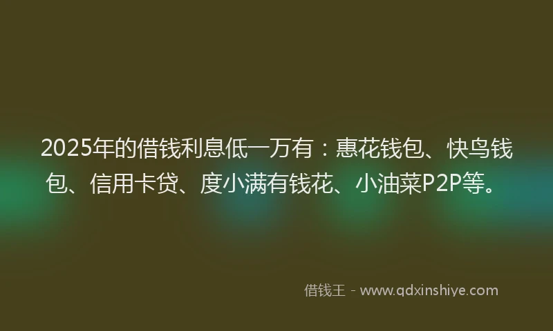 2025年的借钱利息低一万有：惠花钱包、快鸟钱包、信用卡贷、度小满有钱花、小油菜P2P等。