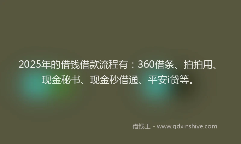 2025年的借钱借款流程有：360借条、拍拍用、现金秘书、现金秒借通、平安i贷等。