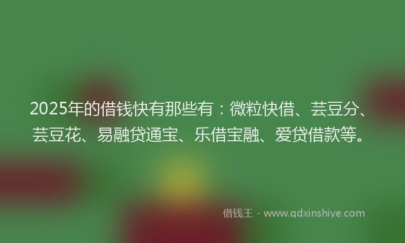 2025年的借钱快有那些有：微粒快借、芸豆分、芸豆花、易融贷通宝、乐借宝融、爱贷借款等。