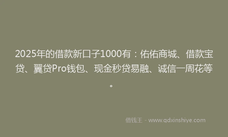 2025年的借款新口子1000有：佑佑商城、借款宝贷、翼贷Pro钱包、现金秒贷易融、诚信一周花等。