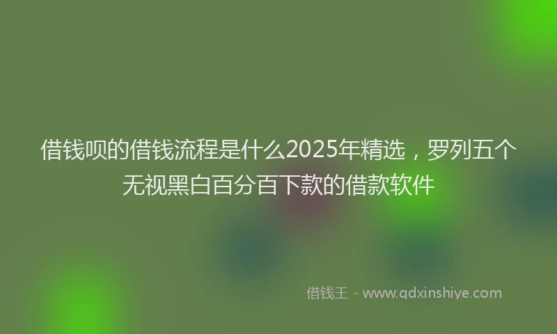 借钱呗的借钱流程是什么2025年精选，罗列五个无视黑白百分百下款的借款软件