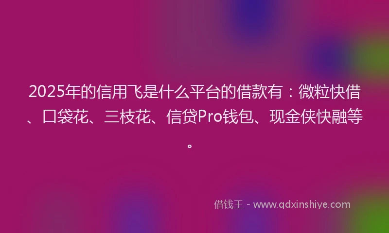 2025年的信用飞是什么平台的借款有：微粒快借、口袋花、三枝花、信贷Pro钱包、现金侠快融等。