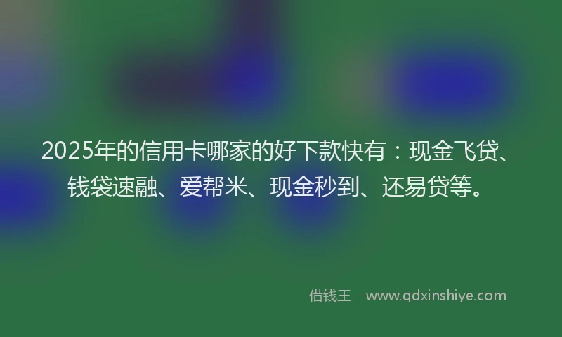 2025年的信用卡哪家的好下款快有：现金飞贷、钱袋速融、爱帮米、现金秒到、还易贷等。