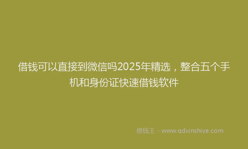 借钱可以直接到微信吗2025年精选，整合五个手机和身份证快速借钱软件