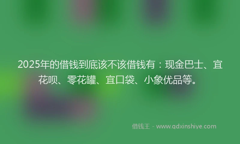 2025年的借钱到底该不该借钱有：现金巴士、宜花呗、零花罐、宜口袋、小象优品等。